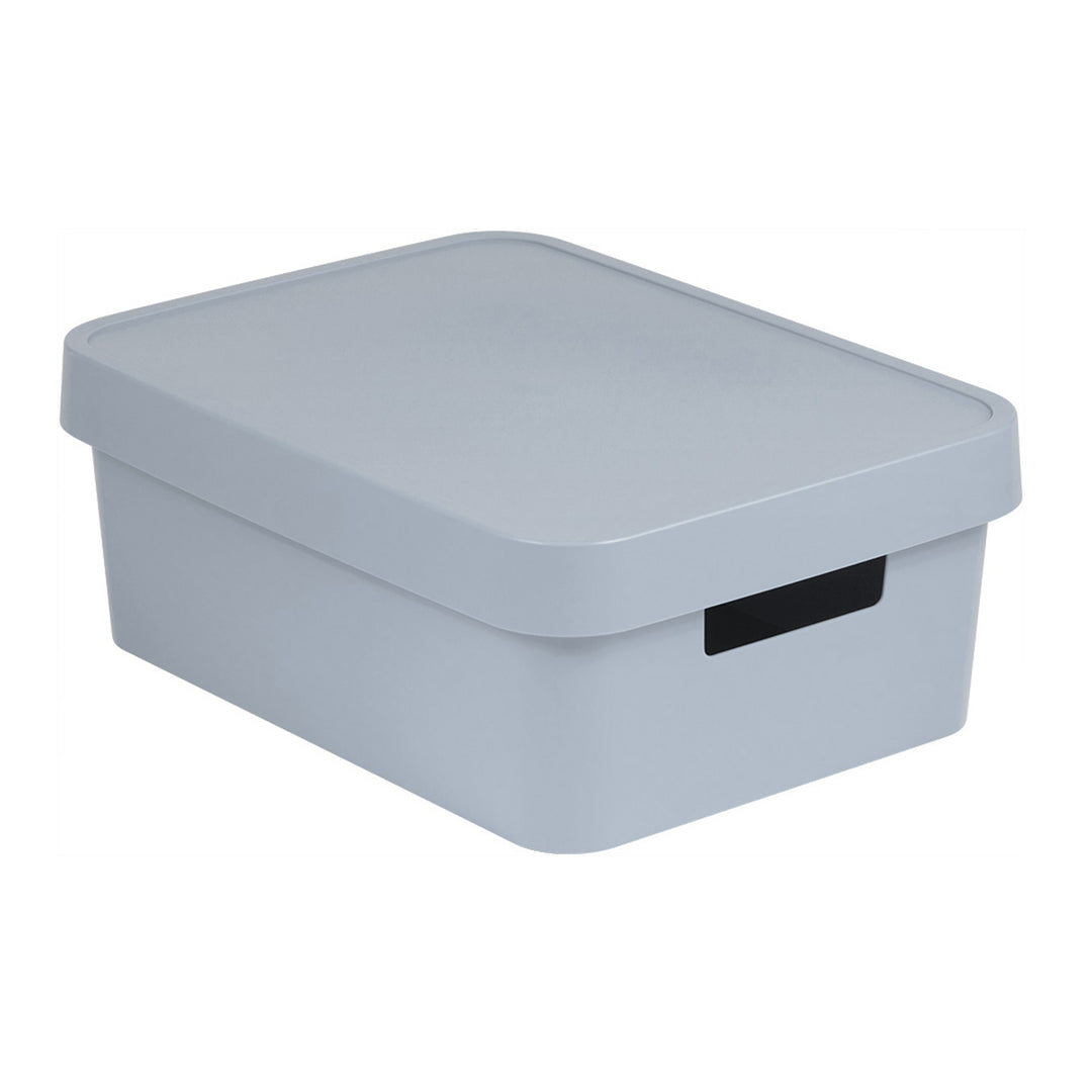 Boîte de rangement avec couvercle Curver Infinity 11L
