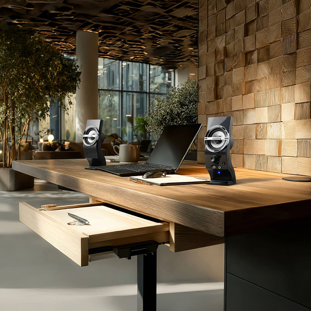 Haut-parleurs d'ordinateur 6W USB Audiocore AC805 noir