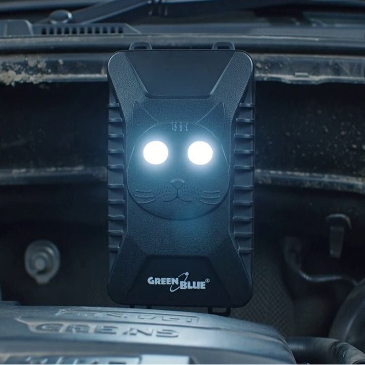 GreenBlue GB725 dissuade les rongeurs et les martres à l'aide d'ultrasons et de lumières LED
