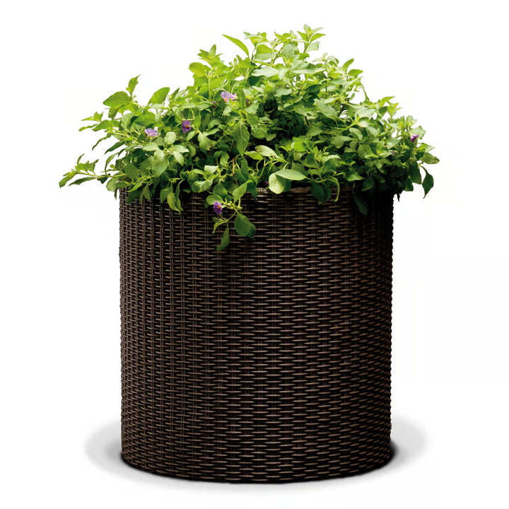 Pot de fleurs Keter Cylinder Planter M, rond, diamètre 36 cm, couleur bronze.