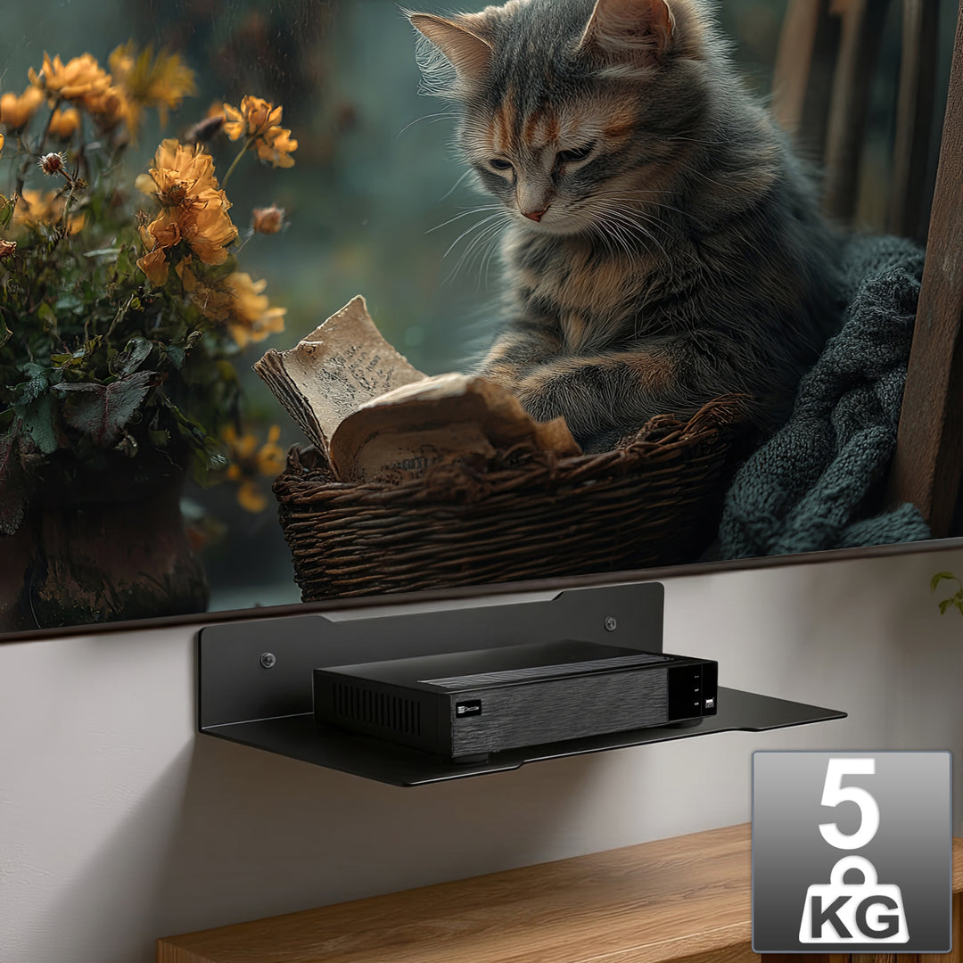 Tablette murale pour décodeur Maclean, simple, max. 5kg, acier, MC-122