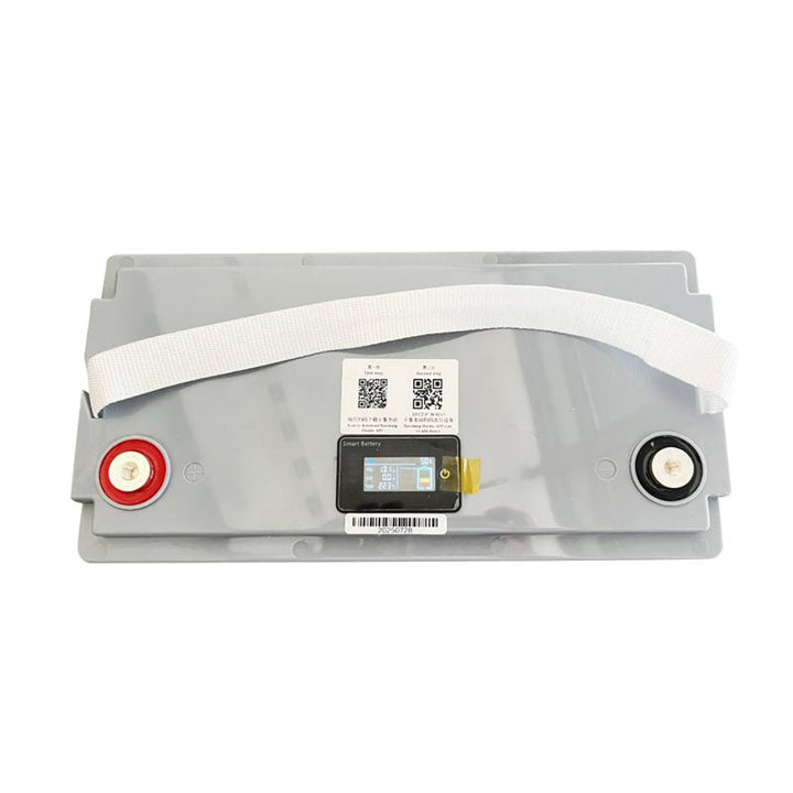 Batterie Lexton au phosphate de fer lithium LiFePo4, avec BMS, 12.8V, 100Ah, LXLFP100