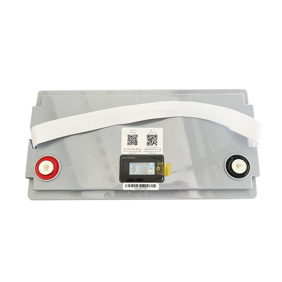 LiFePO4 Batterie lithium-fer-phosphate Lexton, avec BMS, 12.8V, 100Ah, LXLFP100 + chargeur de batterie LiFePO4 LTC Energy