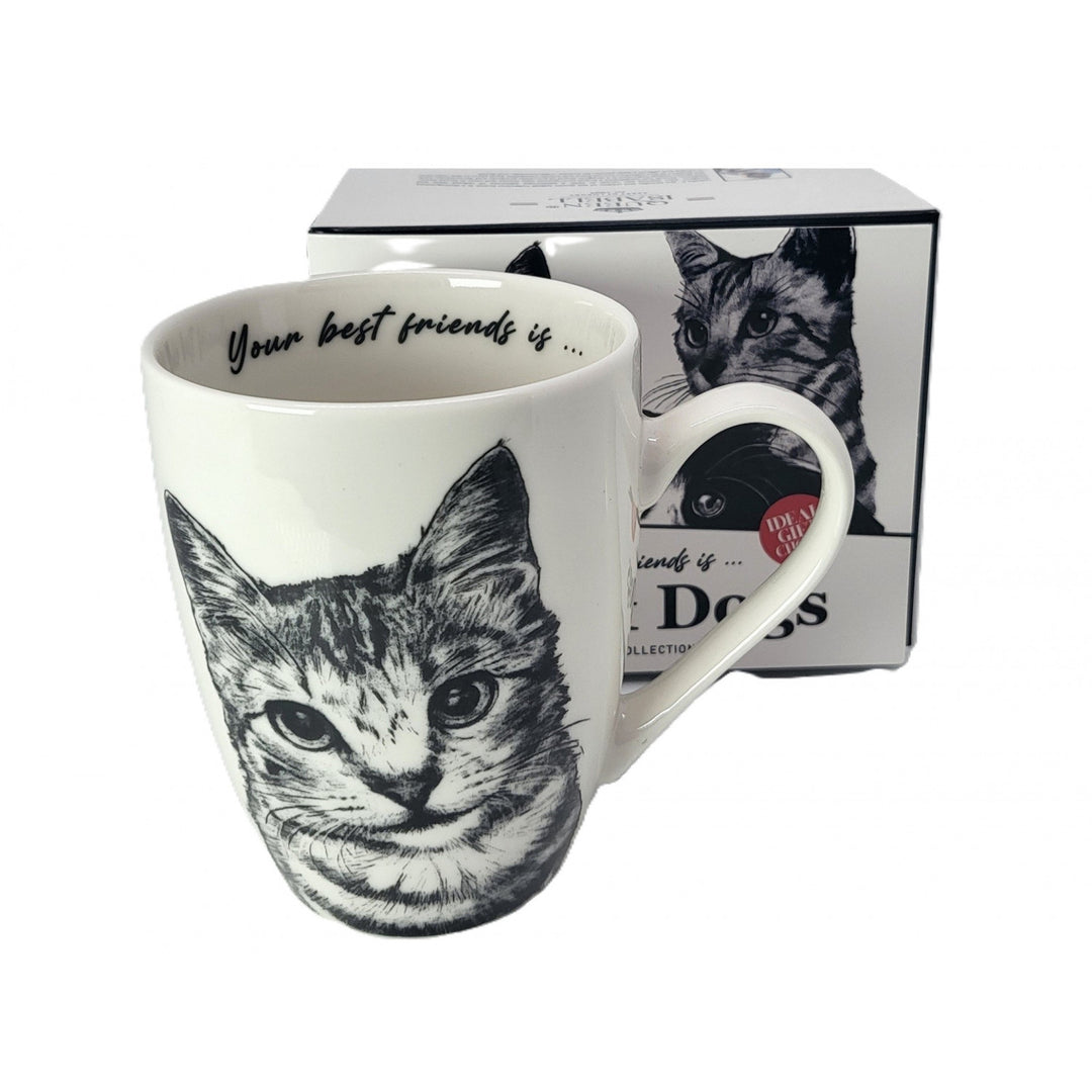 Tasse en porcelaine Reine Isabel, chat américain à poil court, 350ml, Q1-05195
