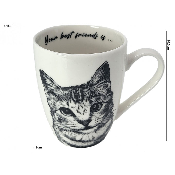 Tasse en porcelaine Reine Isabel, chat américain à poil court, 350ml, Q1-05195