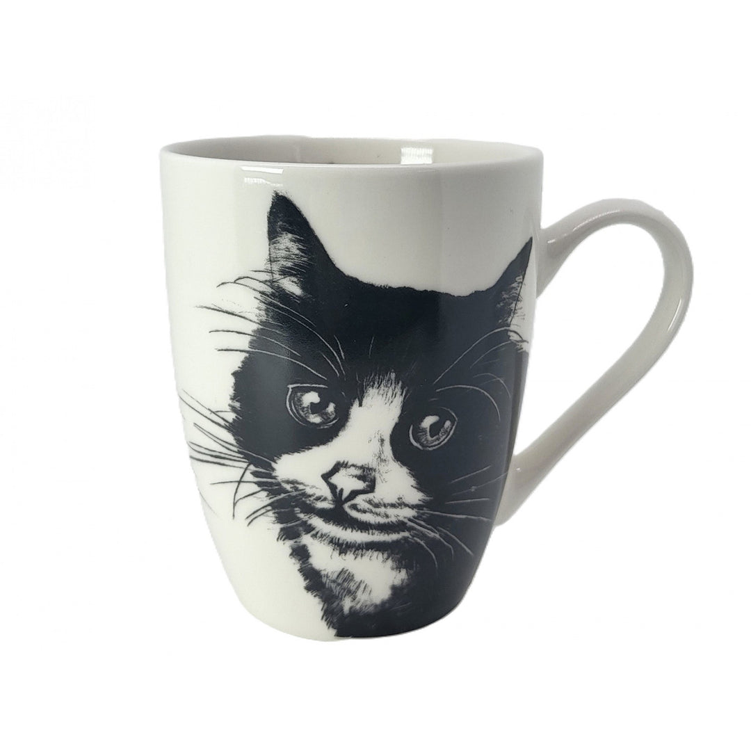 Tasse en porcelaine Reine Isabel, chat européen, 350ml, Q1-05218