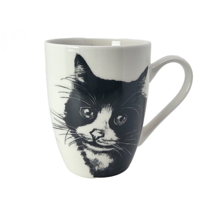 Tasse en porcelaine Reine Isabel, chat européen, 350ml, Q1-05218