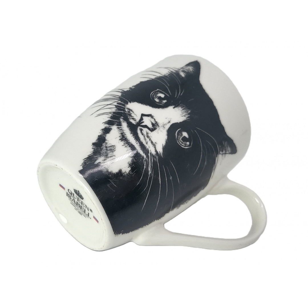 Tasse en porcelaine Reine Isabel, chat européen, 350ml, Q1-05218