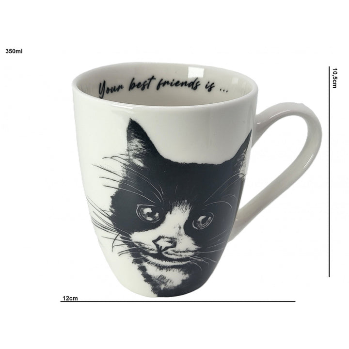 Tasse en porcelaine Reine Isabel, chat européen, 350ml, Q1-05218