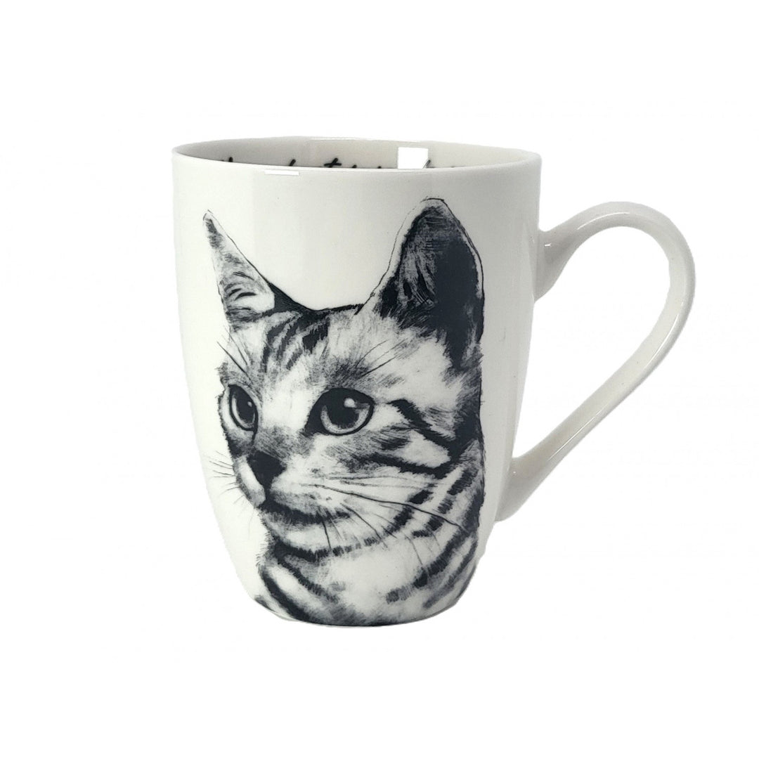 Tasse en porcelaine Reine Isabel, chat Sokake, 350ml, Q1-05218