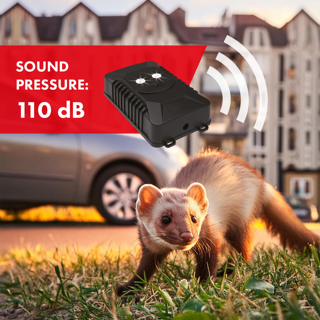 GreenBlue GB725 dissuade les rongeurs et les martres par ultrasons et LED + 4 piles AA Varta Industrial