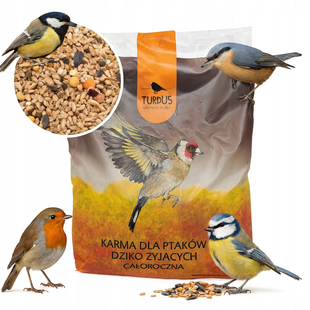 Mangeoire à oiseaux Woodok, en bois, cuite, crochet de suspension + graines pour oiseaux 1kg