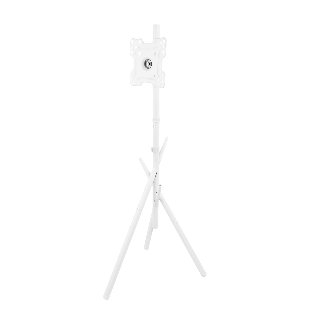 Support / pied de sol pour téléviseur Maclean, 27-55", VESA max. 200x200, max. 60 kg, MC-181 W