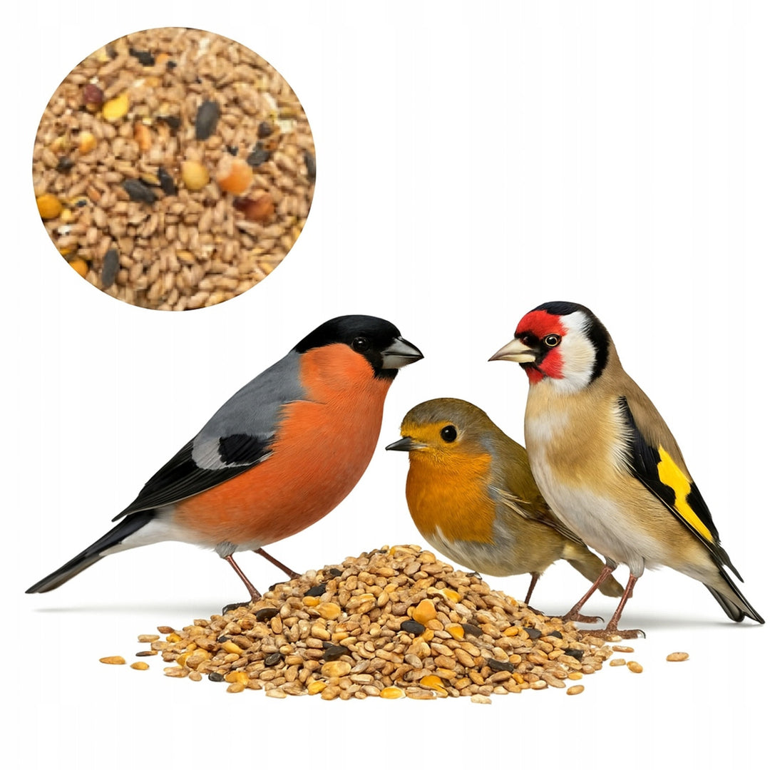 Mangeoire à oiseaux Woodok, bois d'épicéa, cuit, crochets solides + graines pour oiseaux 1kg