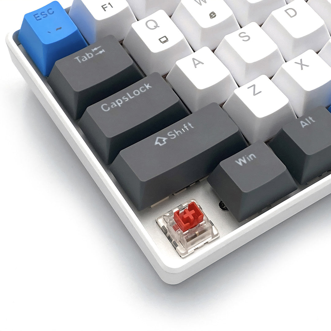 RED CORE MX60 - Clavier mécanique gaming court 60 %, commutateurs mécaniques silencieux RED, rétroéclairage coloré, 68 touches, USB-C. Couleur : blanc/bleu. Mediatech