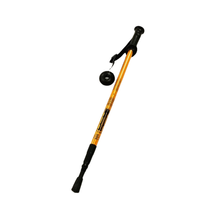 Bâtons en aluminium Nordic Walking 65-135 cm télescopiques dorés