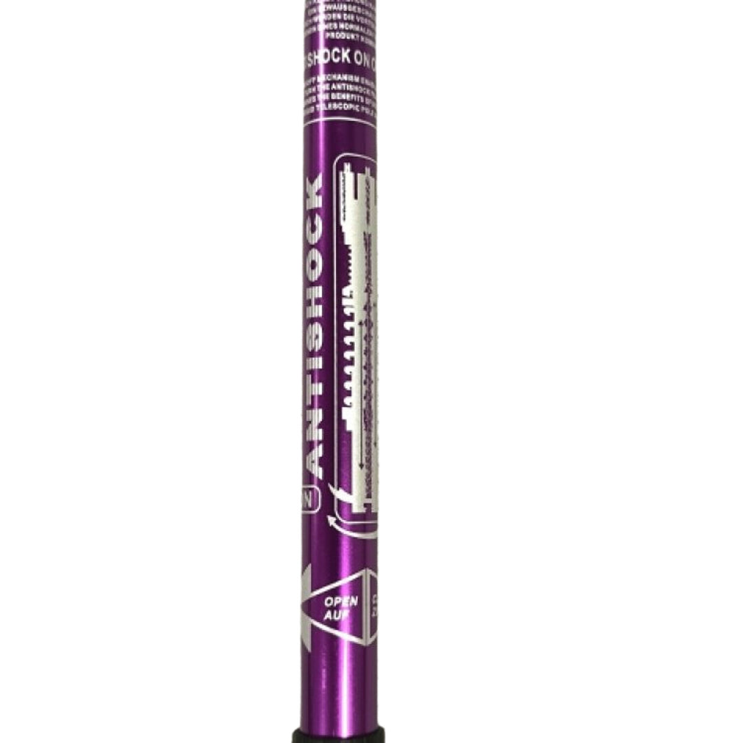 Bâtons en aluminium Nordic Walking 65-135 cm télescopiques violets