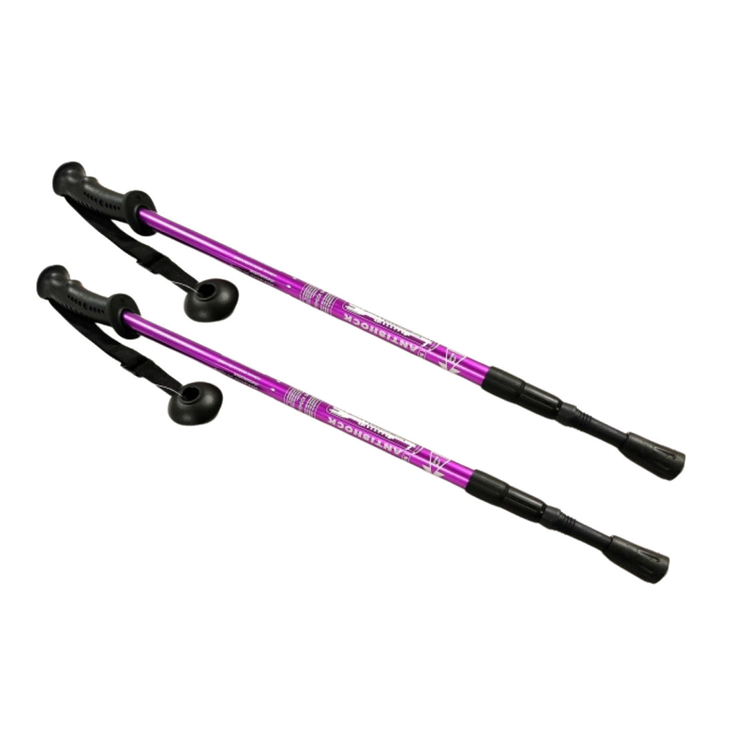 Bâtons en aluminium Nordic Walking 65-135 cm télescopiques violets
