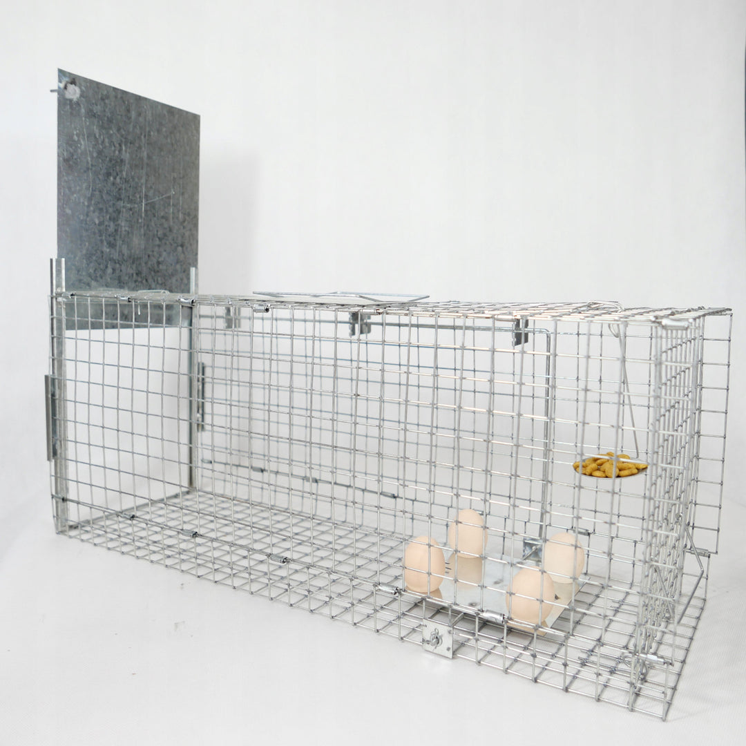 Piège vivant, piège à martres, rats, souris, visons, belettes, Viano P2