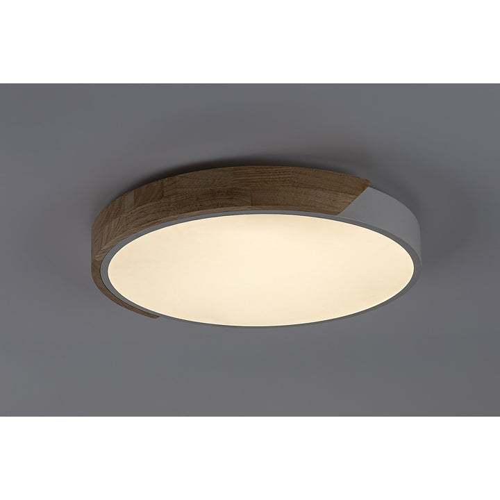 Plafonnier Rabalux Maple2 LED 24 W IP20 blanc mat 3 000 K, 71417