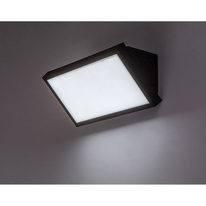 Lampe Rabalux Rapla2 LED 18 W, noire, IP65, classe énergétique F, réglage de la température de couleur : 2 700, 4 000, 6 500 K, 77150, lot de 2