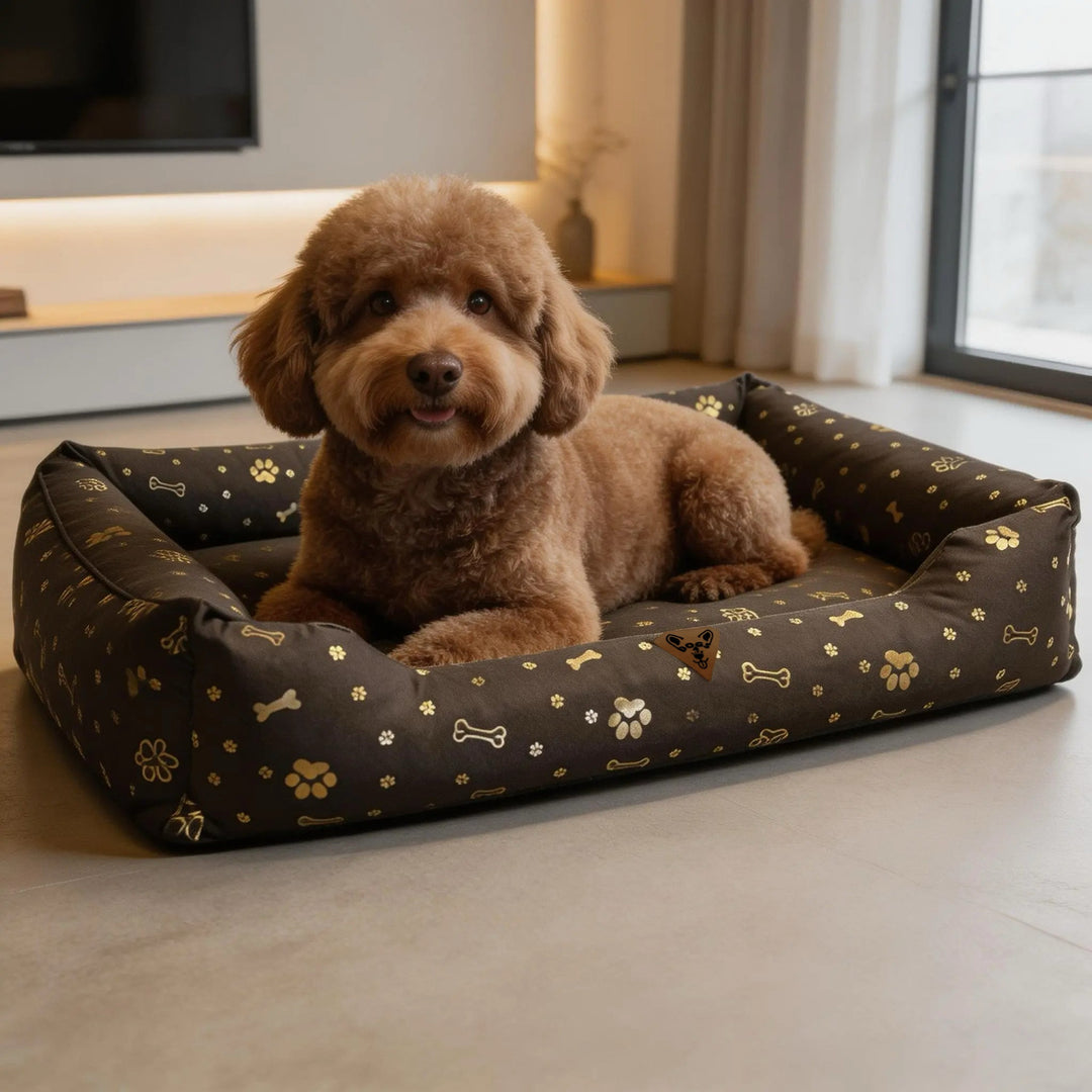Panier pour chien, 100 x 75, imperméable, avec des os dorés, démontable, Dogs4life
