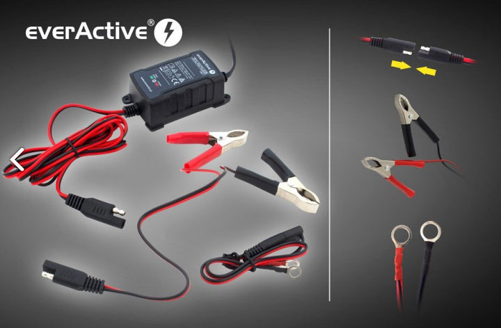 Chargeur de charge 6V / 12V everActive CBC-1