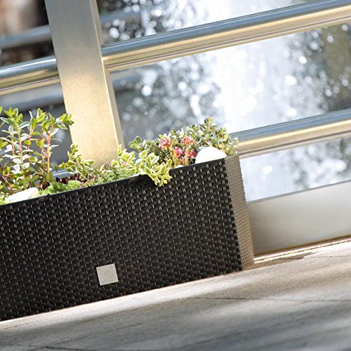 Pot de fleurs avec insert Prosperplast Rato DRTC500 440U umbra 17L