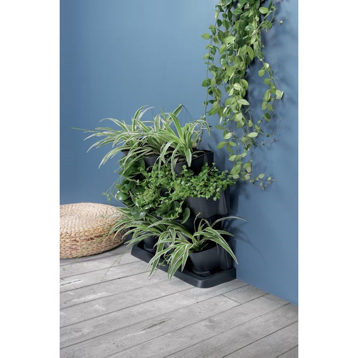 Jardin vertical sur pied Prosperplast Cascade Garden anthracite