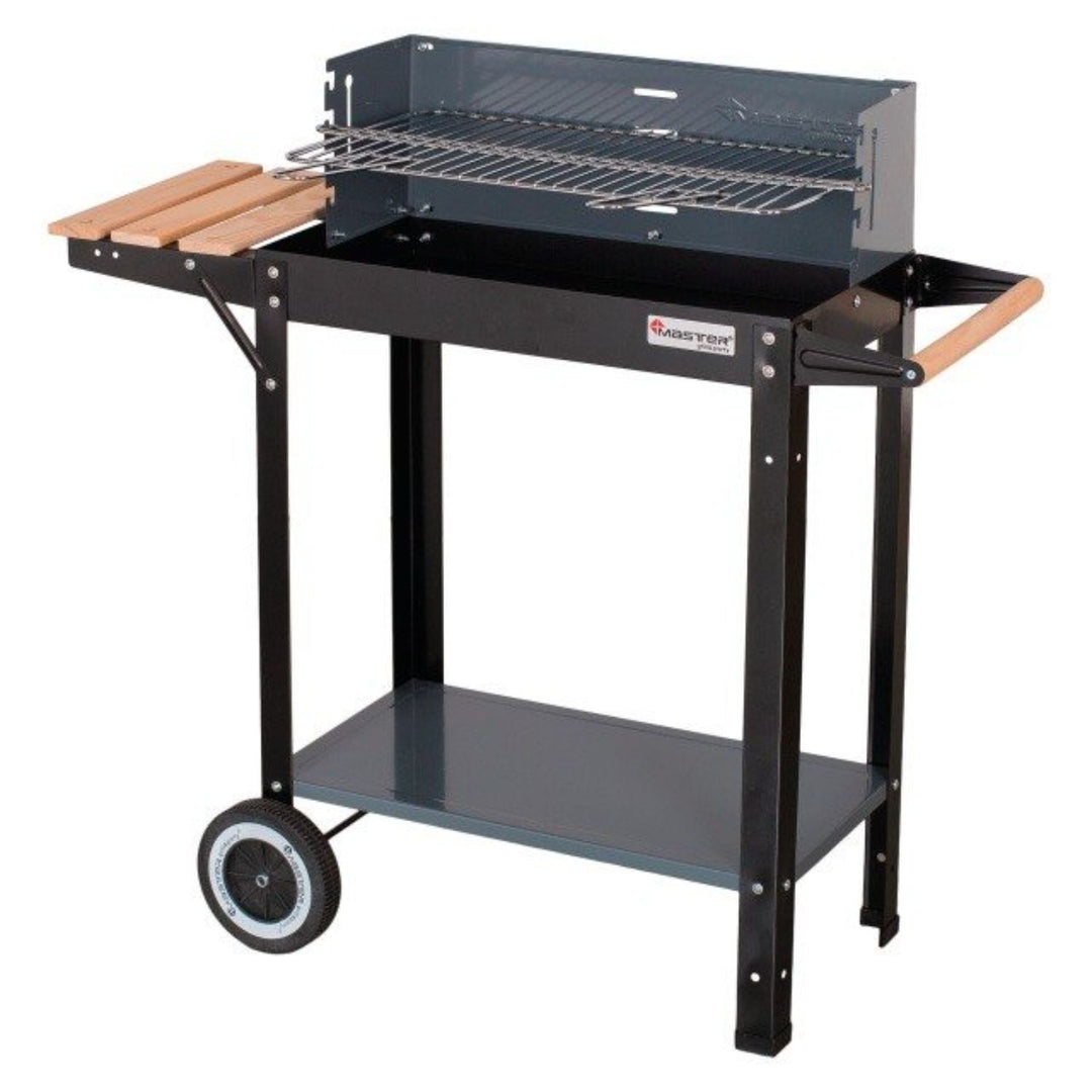 Barbecue avec plateau à charbon rectangulaire 53 x 27 cm Master Grill
