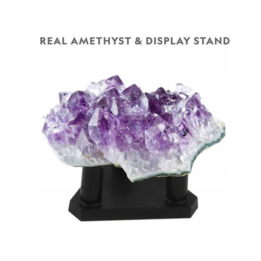 National Geographic - Kit de laboratoire pour la culture du cristal violet