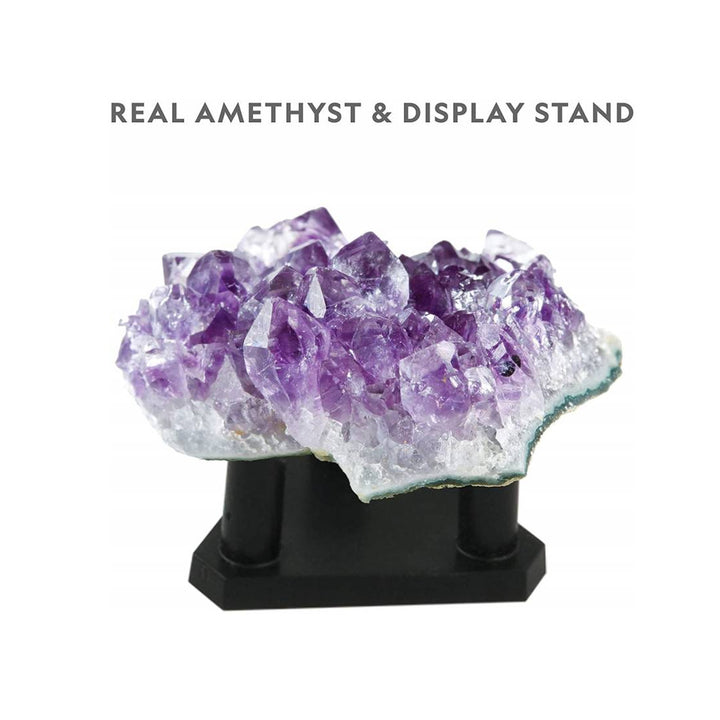 National Geographic - Kit de laboratoire pour la culture du cristal violet