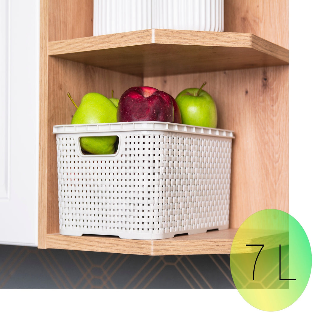 BranQ Panier de rangement 7L en rotin blanc antique avec poignées