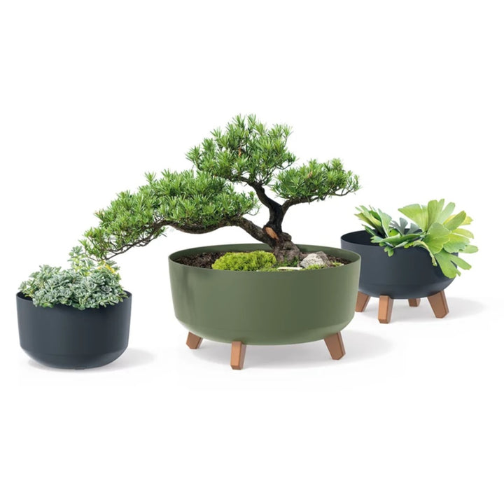 Pot de fleurs Prosperplast Gracia Standard DGRL240-5615C couleur verte 5,1L