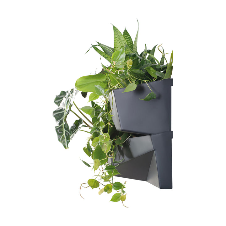 Jardin vertical Prosperplast Cascade Garden Wall IO3W800-S433