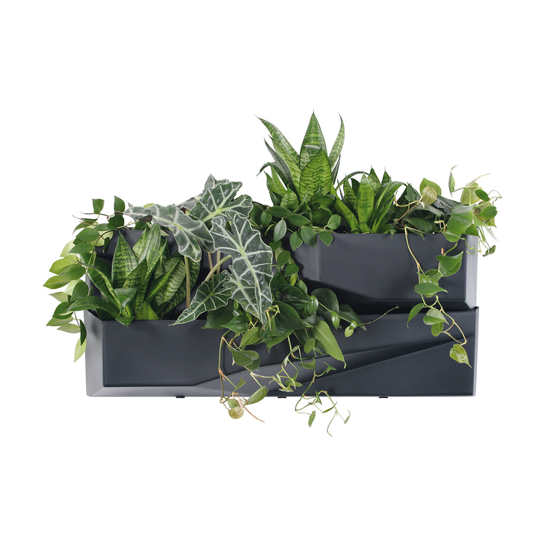 Jardin vertical Prosperplast Cascade Garden Wall IO3W800-S433