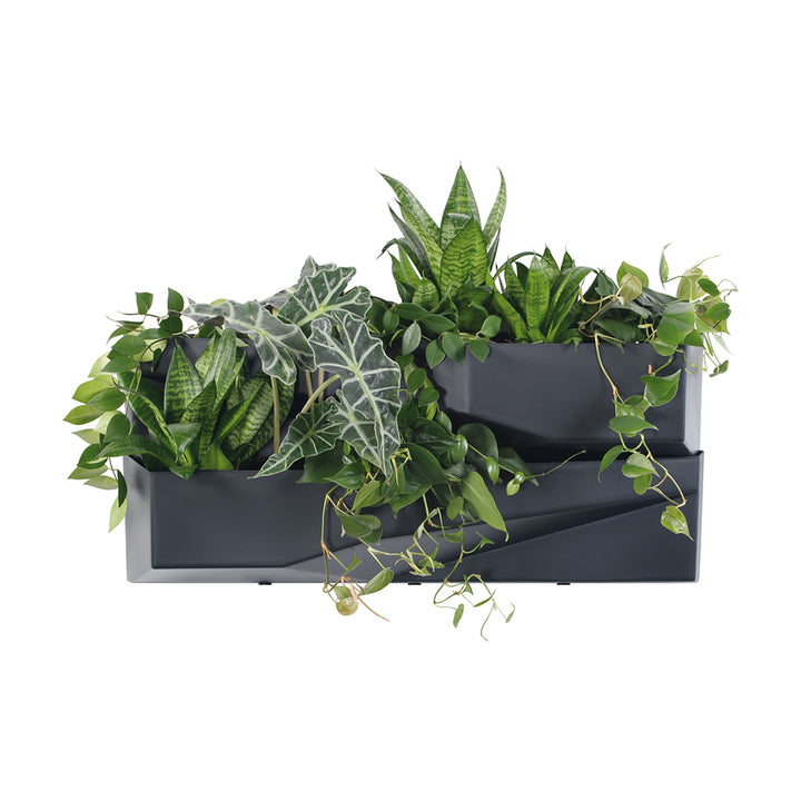 Jardin vertical Prosperplast Cascade Garden Wall IO3W800-S433
