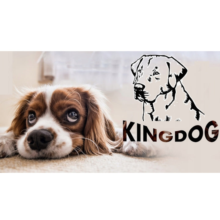 Grand lit pour chien et chat AIO Kingdog 75 x 65 Vert - taille M