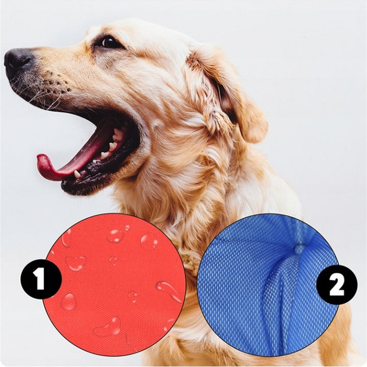 Lit pour chien et chat avec coussin Ecco Nylon imperméable Lavable (Dimensions intérieures : 40x30 / Dimensions extérieures : 55x45cm, Gris/noir)