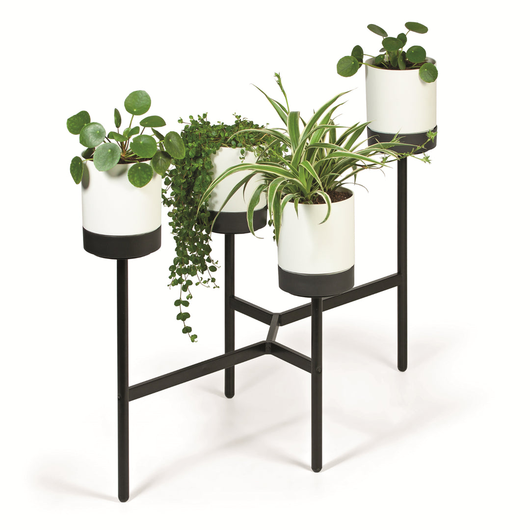 Présentoir à fleurs avec 4 pots Prosperplast Bloomie Stand Pot de fleurs 125x55x81,5cm Cadre métallique béton