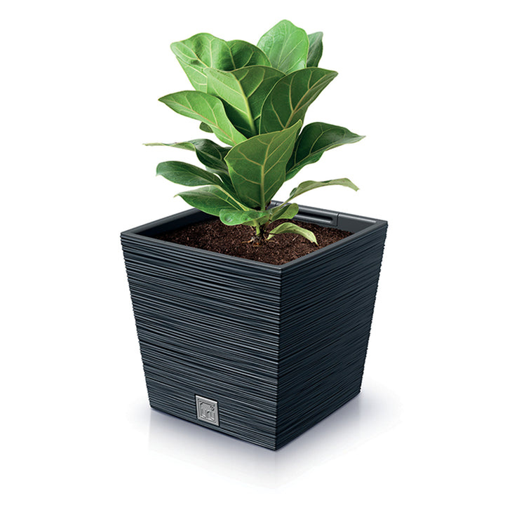 Prosperplast Furu Square Low pot de fleurs avec insert DFS240-S433 - couleur anthracite