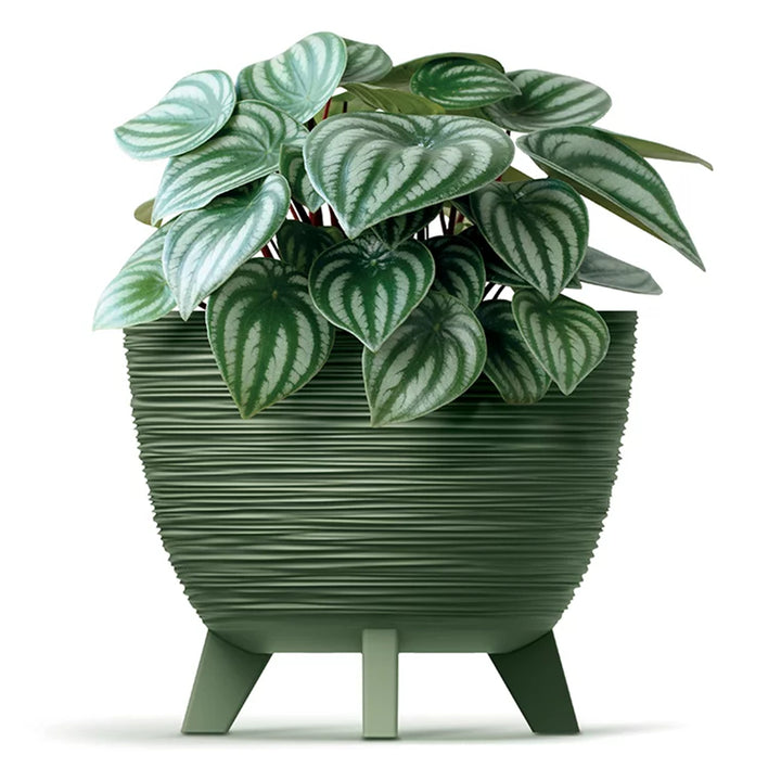 Pot de fleurs Prosperplast, diamètre 290 mm couleur anthracite, DFUR300-S433, Furu