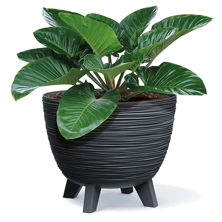 Pot de fleurs Prosperplast, diamètre 290 mm couleur anthracite, DFUR300-S433, Furu